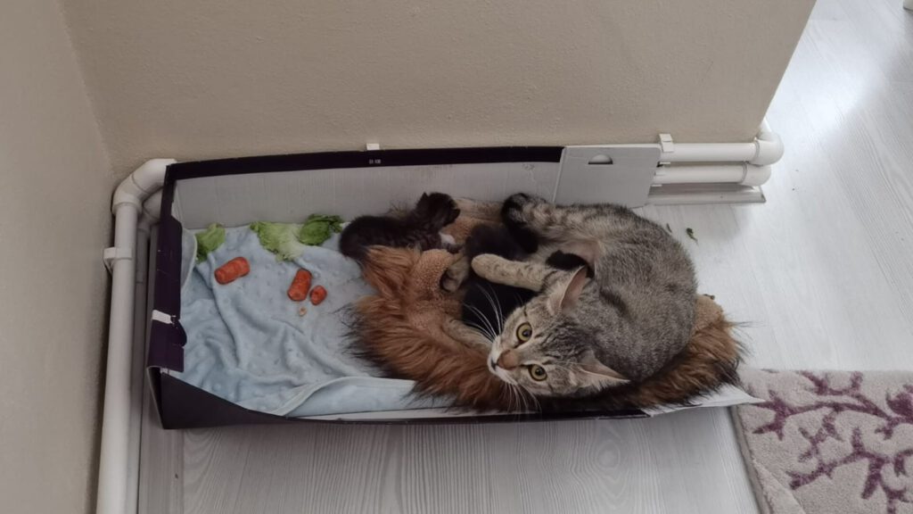 Böyle dostluk görülmedi