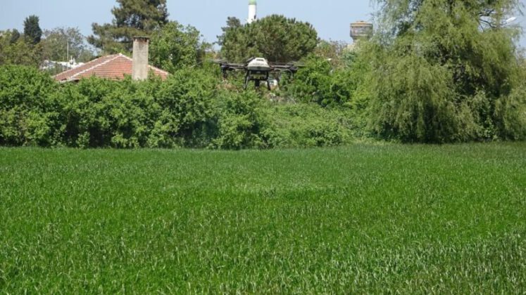 Köylüler drone aldı tarlasını ilaçlatmak isteyen sıraya giriyor
