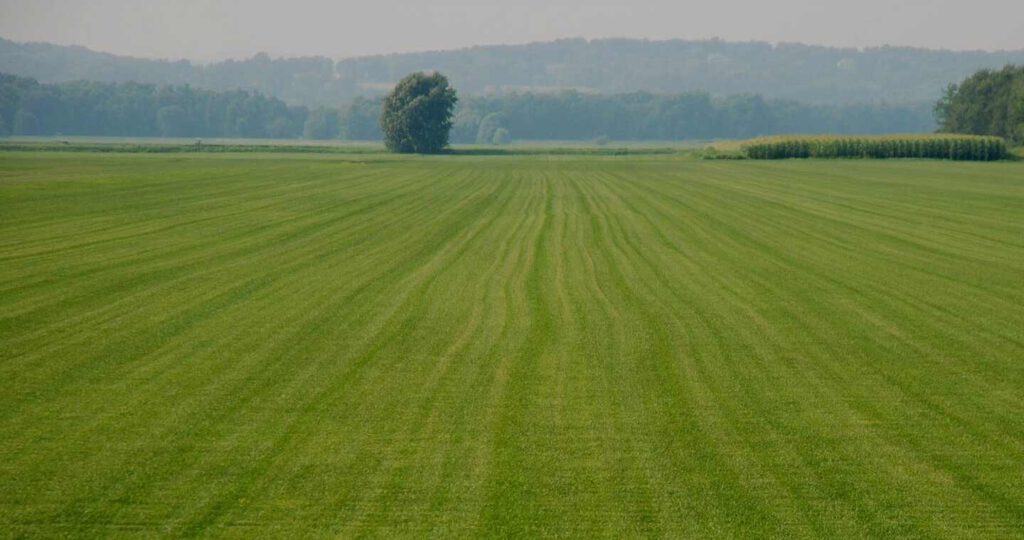 Görükle’de satılık arsa