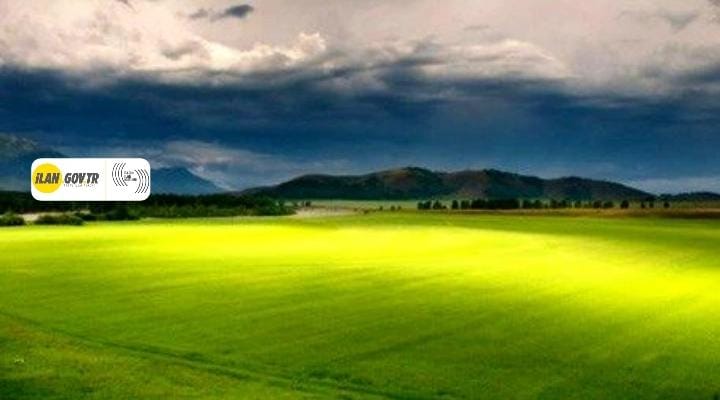 Osmangazi’de mahkemeden satılık arsa