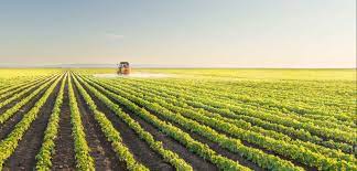 Karacabey’de mahkemeden satılık tarla