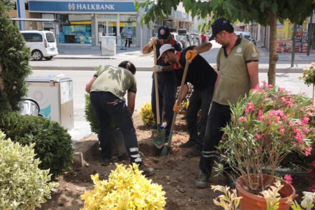 Gürsu’nun caddelerine rengarenk çiçeklerle yaz coşkusu