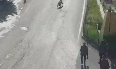 Sarıkamış’ta merkeze inen boz ayı panik yaşattı