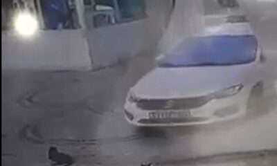 Otomobilini kedilerin üzerine sürüp, birini telef etti
