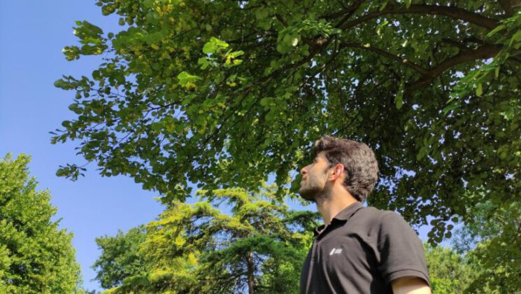 Kilosu yüzlerce lira…Her cadde ve parkta var, kimse toplamıyor