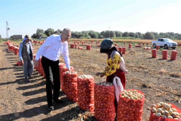 Başkan Özkan’dan ürün zayiatlarına karşı çözüm önerisi