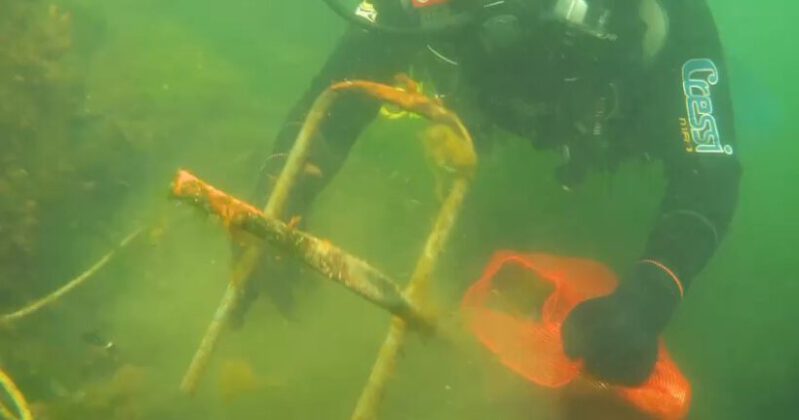 Denizin altında çekilen görüntüler kirliliği gözler önüne serdi