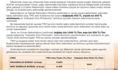 TMO hububat alım fiyatları güncellendi
