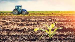 İnegöl Tekke’de icradan satılık tarla