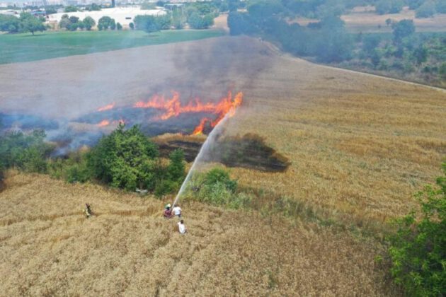 Bursa’da buğday tarlası alev alev yandı