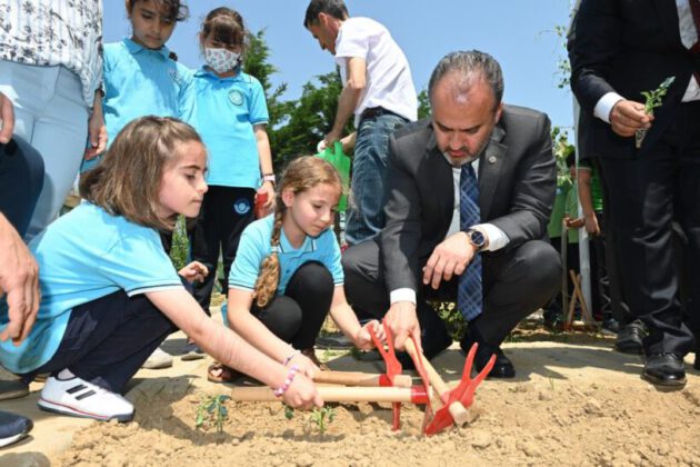 Minikler toprakla buluştu