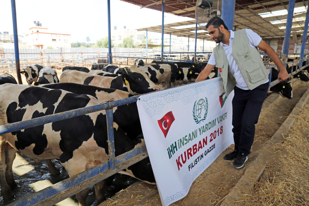 İHH 59 ülkeye ulaşacak