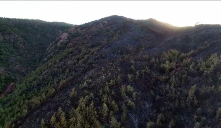 Marmaris’te yürekleri dağlayan kara tablo havadan görüntülendi