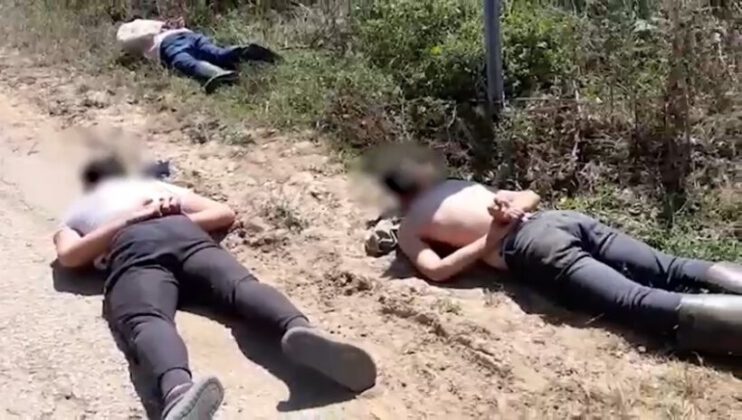 Bursa’da ormana uyuşturucu diktiler, suç üstü yaptılar