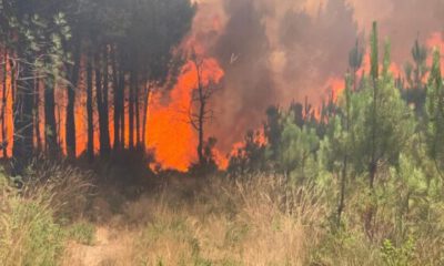 Fransa’daki orman yangınlarında yaklaşık 4 bin hektar alan kül oldu