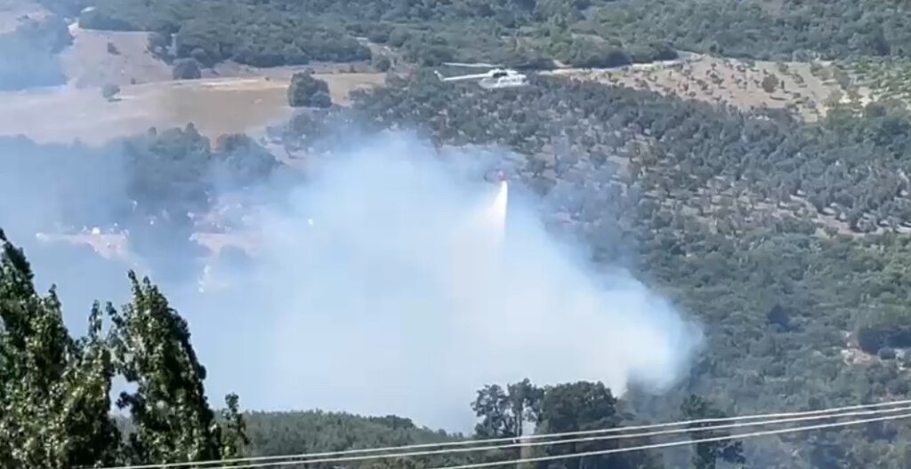 Bursa’da orman yangını