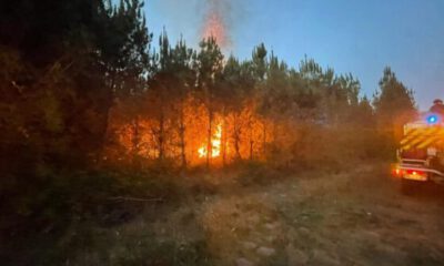 Fransa’daki orman yangınları 6’ıncı gününde: 14 bin hektar alan yandı