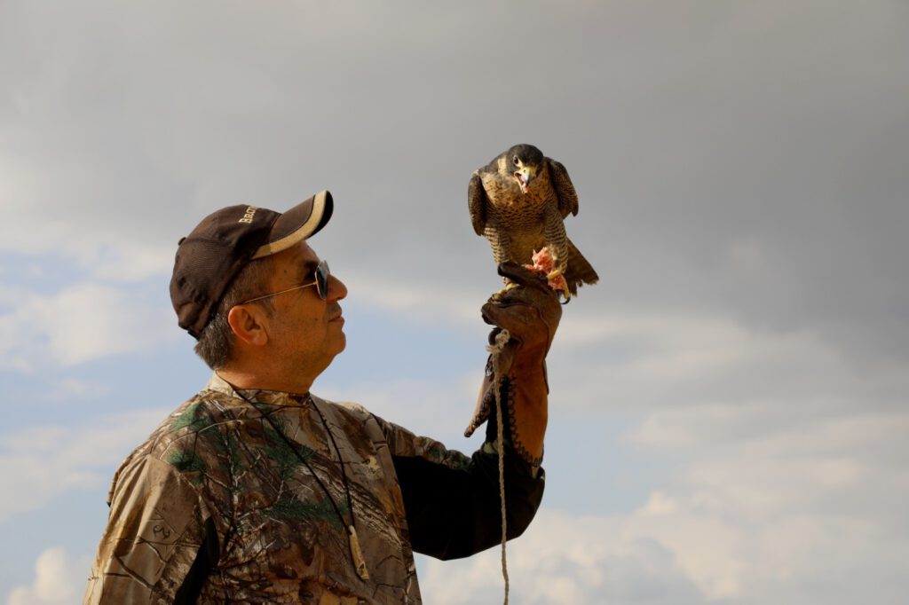 Türk geleneği ‘Doğancılık’ kültürünü Niğde’de yaşatıyor