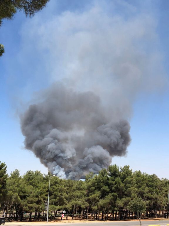 Gaziantep’te orman yangını