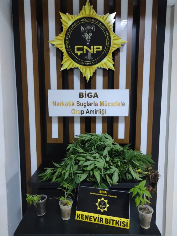 Çanakkale’de uyuşturucu operasyonlarında 109 gözaltı