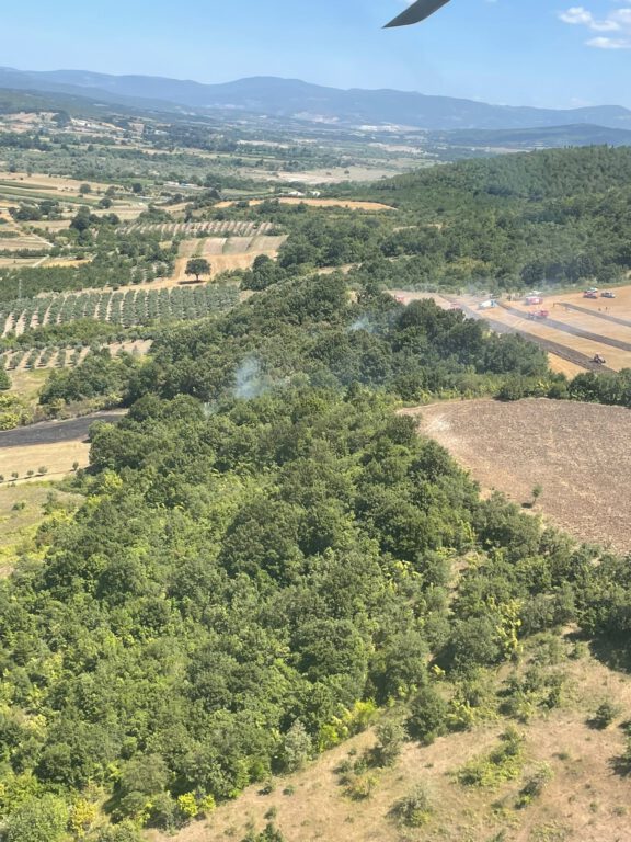 Mustafakemalpaşa’da orman yangını