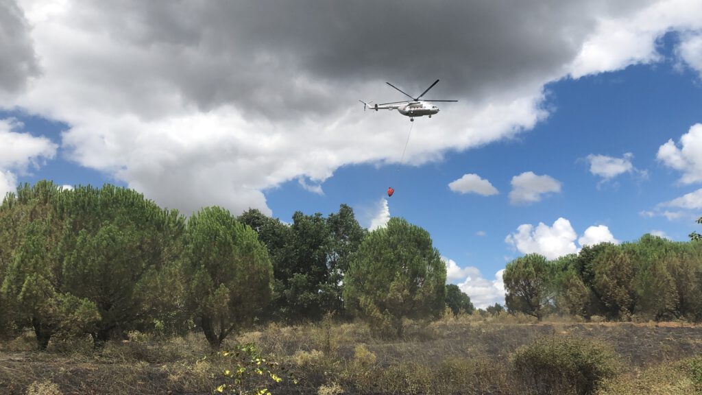 Kırklareli’nde ormanlık alanda çıkan yangında 5 dekar zarar gördü