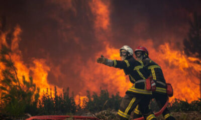 Fransa’daki orman yangınlarında 19 bin 300 hektar alan kül oldu