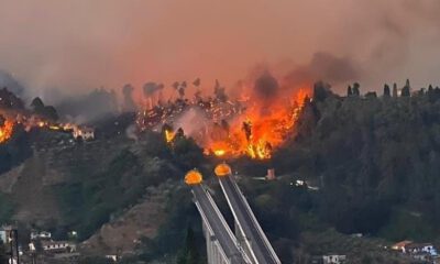 İtalya’da orman yangınlarında yaklaşık 400 hektar alan kül oldu