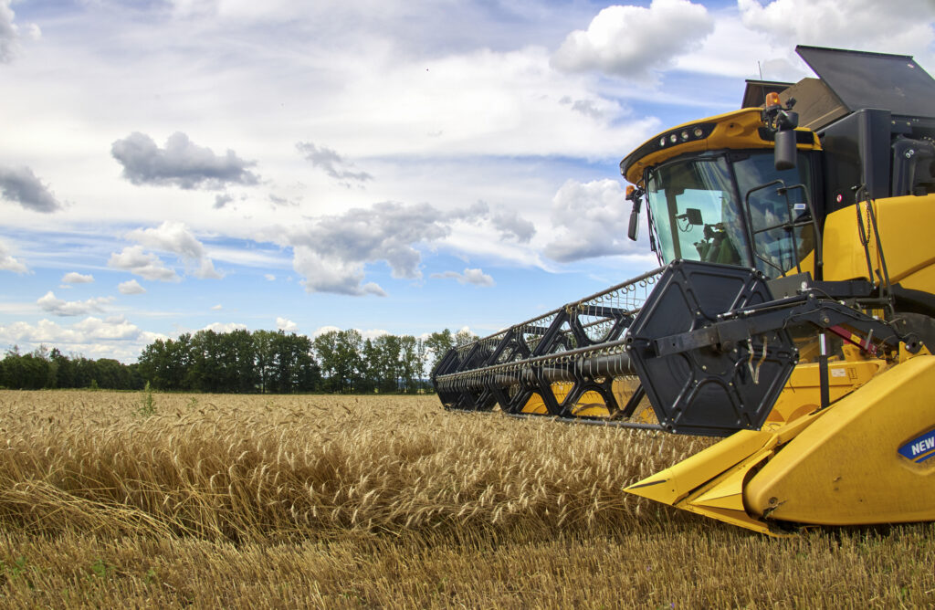 BM: “Ukrayna tahılının Karadeniz’den ilk sevkiyatları birkaç gün içinde hareket edebilir”