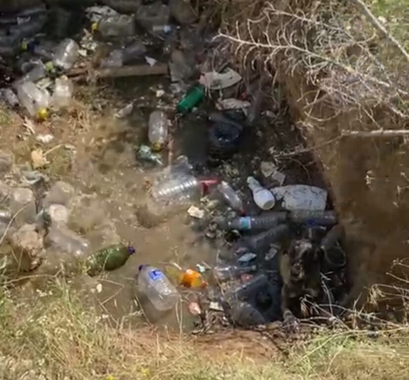 Su kuyusuna düşen 2 köpek itfaiye ekiplerince kurtarıldı