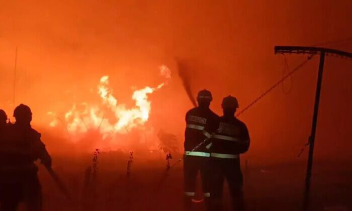 Çekya’da milli parktaki yangın 3 gündür söndürülemiyor