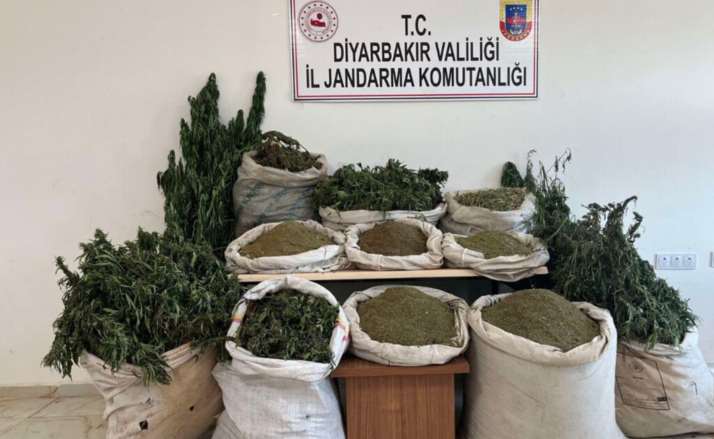 Diyarbakır’da terörün finans kaynağına darbe: 2 milyon 293 bin kök kenevir ele geçirildi