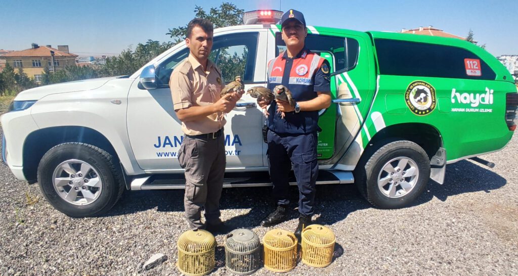 Araçta bulunan kınalı keklik kuşları koruma altına alındı