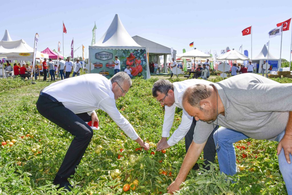 Karacabey’de domates fuarı