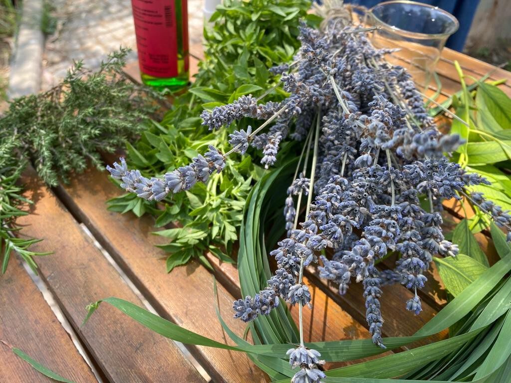 Sivrisineklerden korunmanın “doğal” yolları