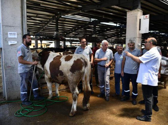 Kurbanlıklar bu ‘TİM’den kaçamayacak