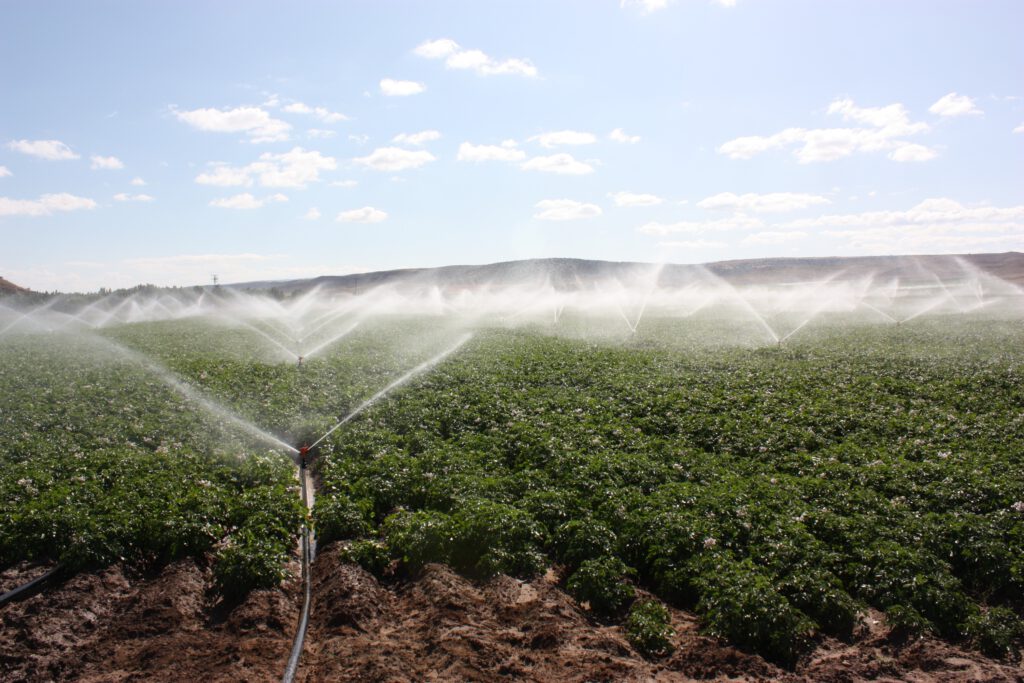 Sulama sistemine ait malzemeler satın alınacak