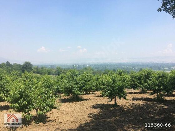 İnegöl’de mahkemeden satılık tarla