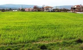 Kestel’de icradan satılık tarla