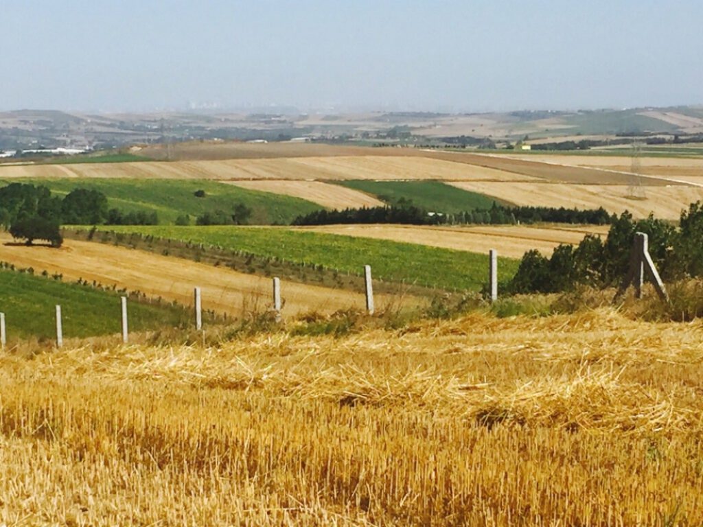 Bursa Nilüfer’de 2.204 m² tarlanın 2/3 hissesi satılıktır