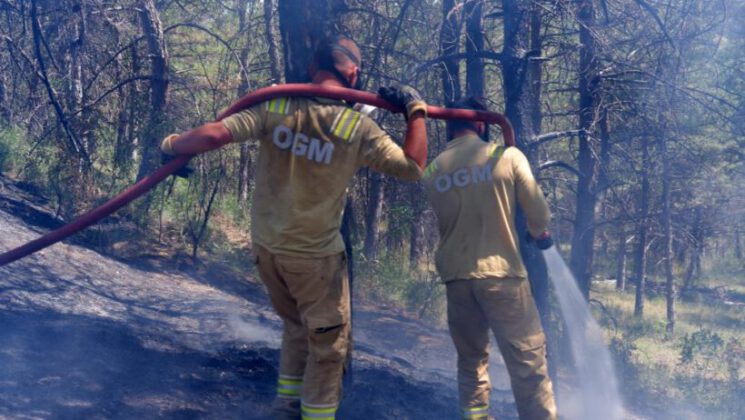 Edirne’de orman yangınına müdahale sürüyor
