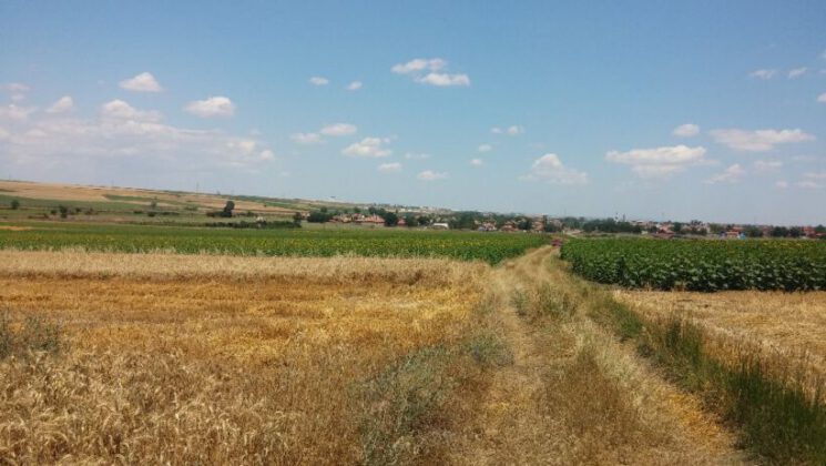 Bursa Gemlik’te 5.753 m² tarla satılıktır