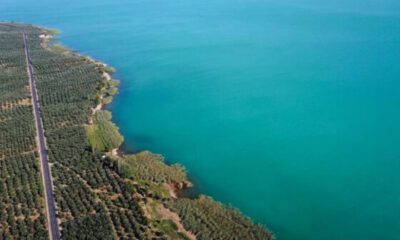 İznik Gölü turkuaz renge büründü