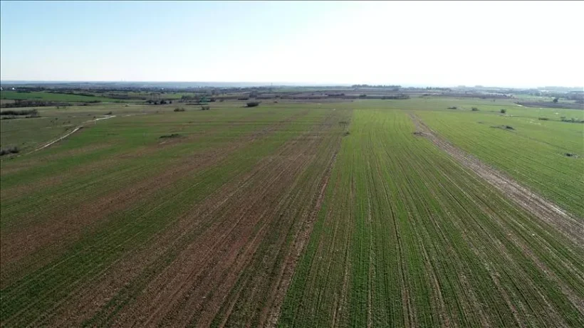 Bursa Mustafakemalpaşa’da 14.964 m² tarla satılıktır (çoklu satış)