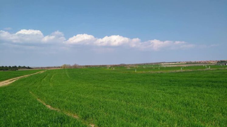 Bursa Yenişehir ilçesinde 2.400 m² tarla satılıktır