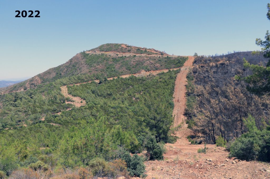 Bu şerit yangınlara geçit vermiyor