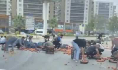 Bursa’da kamyonetten dökülen şeftaliler için herkes seferber oldu
