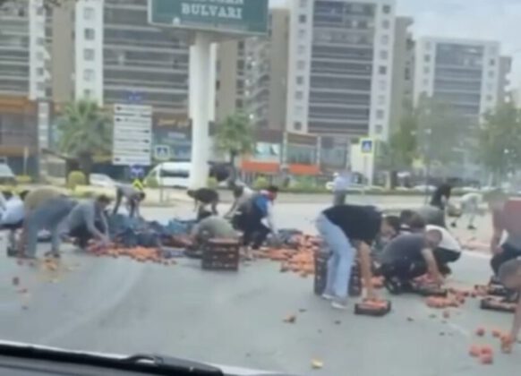 Bursa’da kamyonetten dökülen şeftaliler için herkes seferber oldu