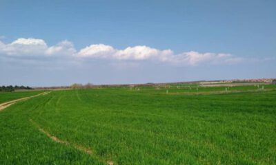 Bursa Karacabey’de 14.600 m2 tarla satılıktır