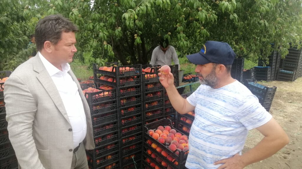 “BÖYLE GİDERSE BURSA’DA ŞEFTALİ ÜRETİCİSİ KALMAYACAK”